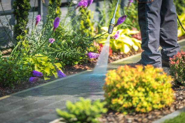 Best Spring Cleaning  in Woodside, PA